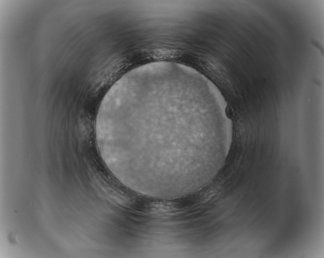 X0000103140367200809121759