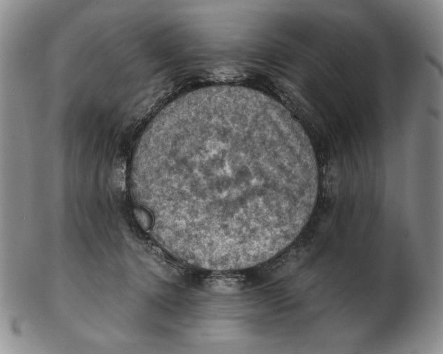 X0000103140368200809121759