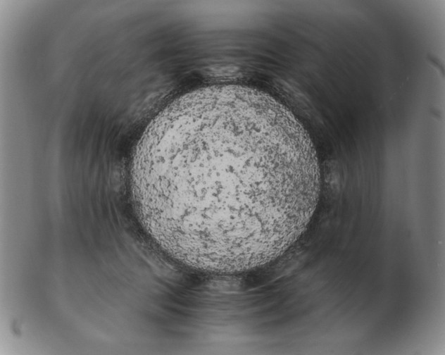 X0000103140369200809121759