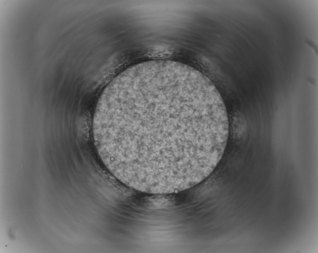 X0000103140370200809121759