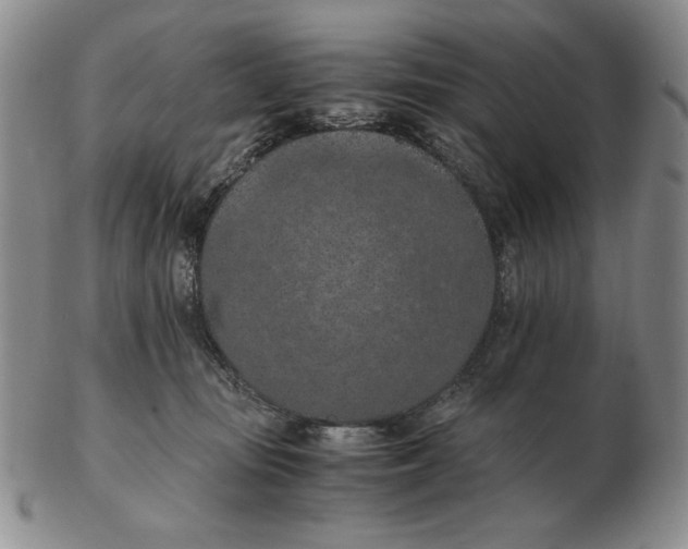 X0000103140371200809121759