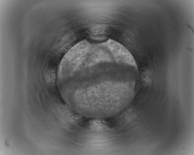 X0000103140372200809121759