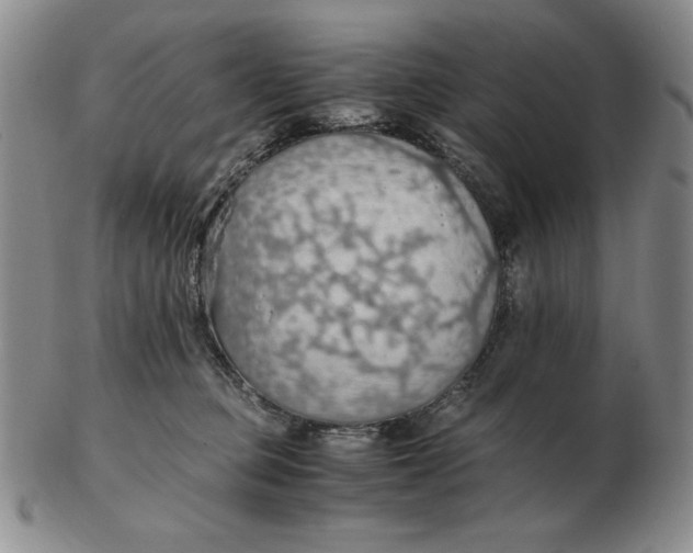 X0000103140373200809121759