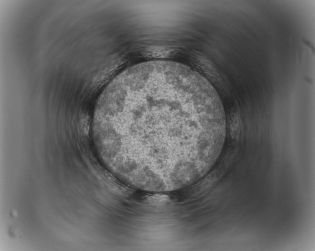 X0000103140374200809121759