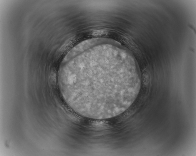 X0000103140375200809121759