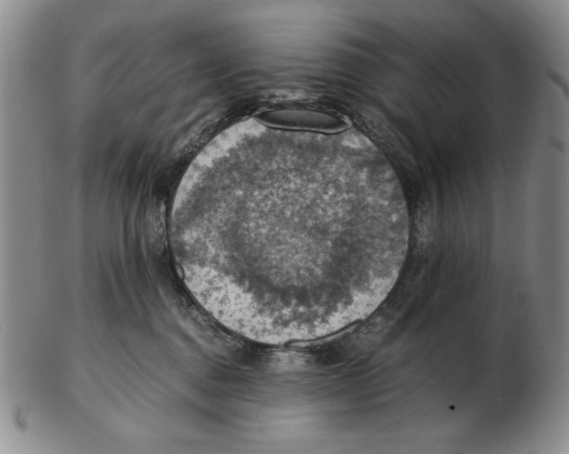 X0000103140376200809121759