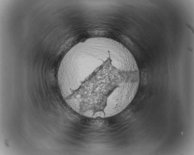 X0000103140377200809121759