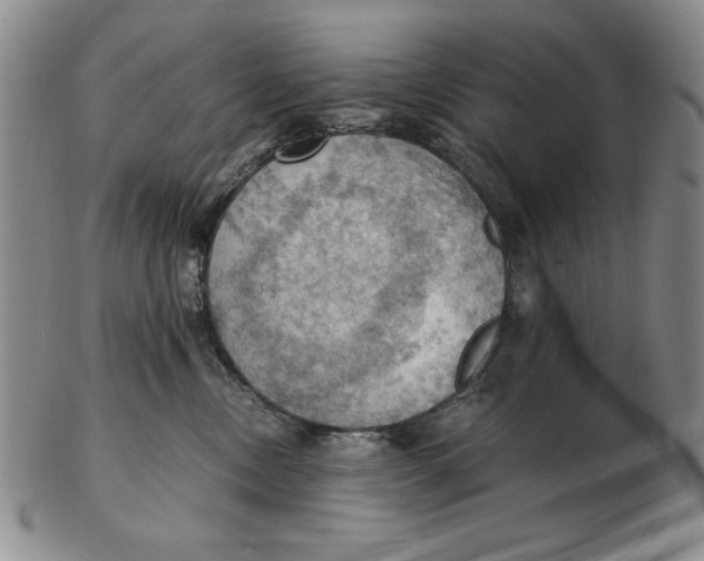 X0000103140378200809121759