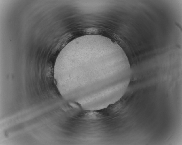 X0000103140379200809121759