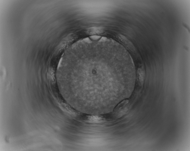 X0000103140380200809121759