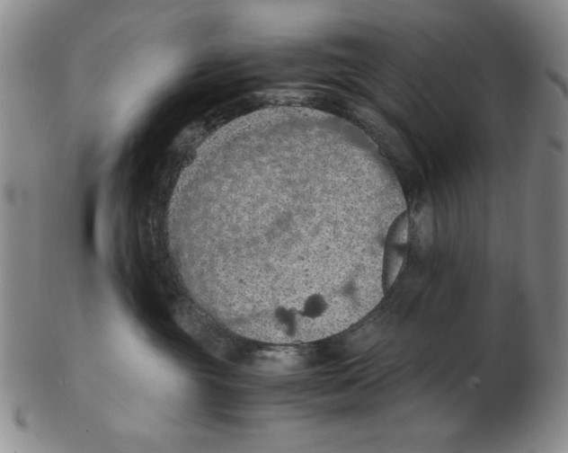 X0000103140381200809121759