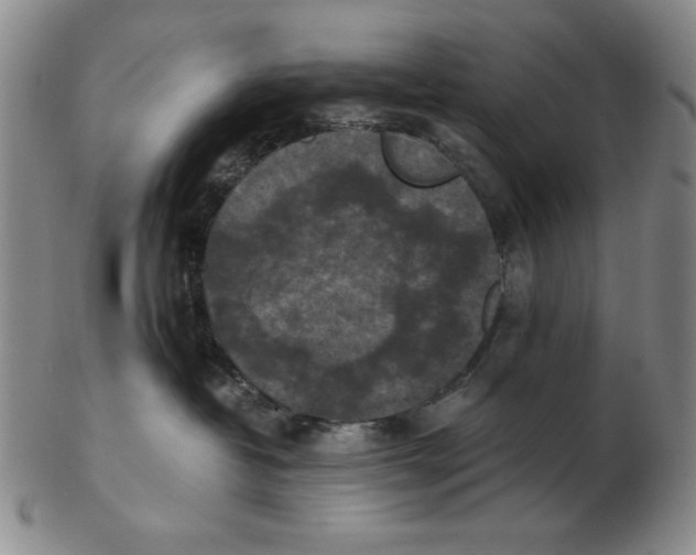 X0000103140382200809121759