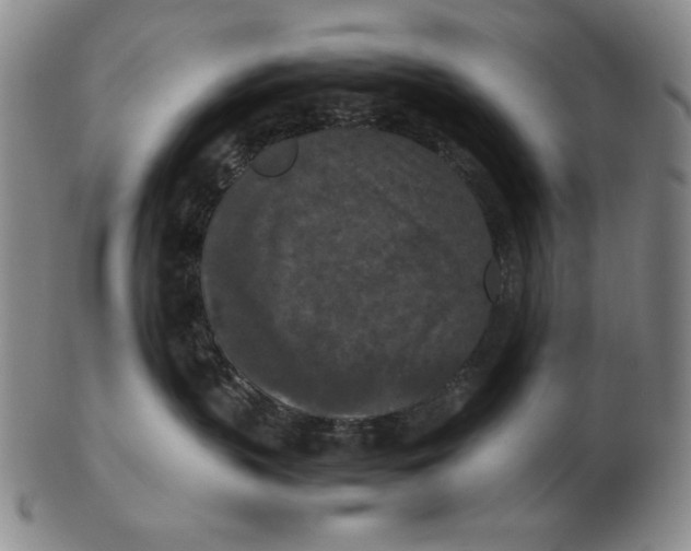 X0000103140383200809121759