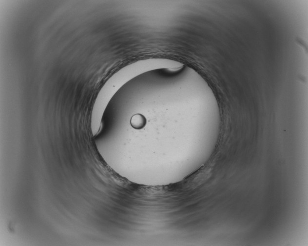 X0000103140384200809121759