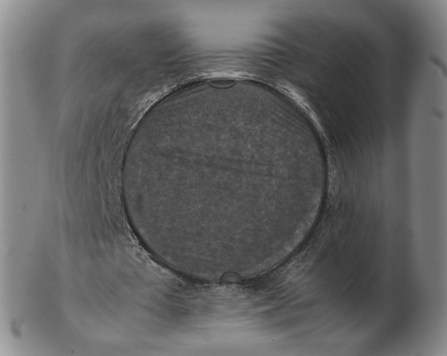 X0000103140385200809121758