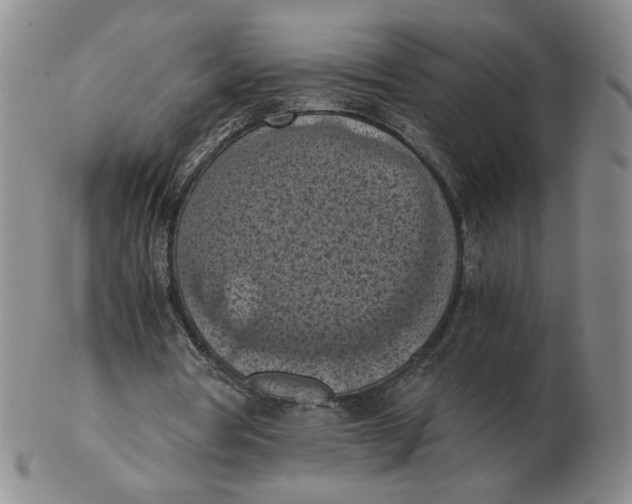 X0000103140386200809121758