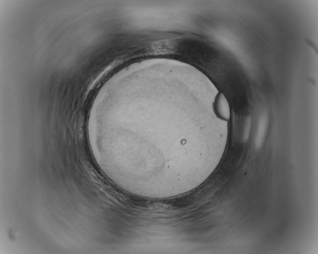 X0000103140387200809121758