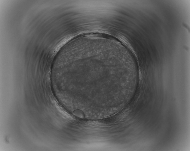 X0000103140389200809121758