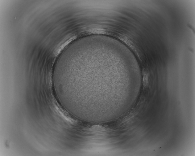 X0000103140390200809121758