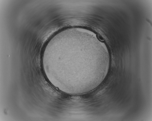 X0000103140391200809121758