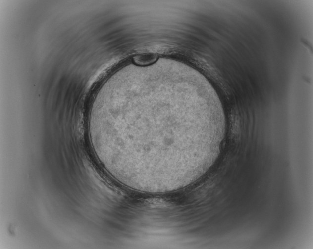 X0000103140392200809121758