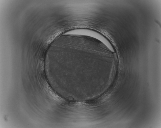 X0000103140393200809121758