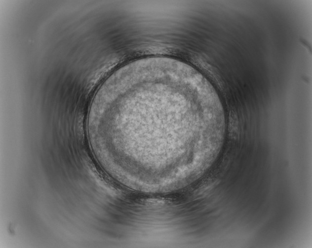 X0000103140394200809121758