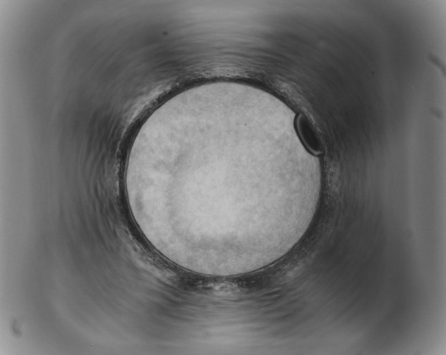 X0000103140395200809121758