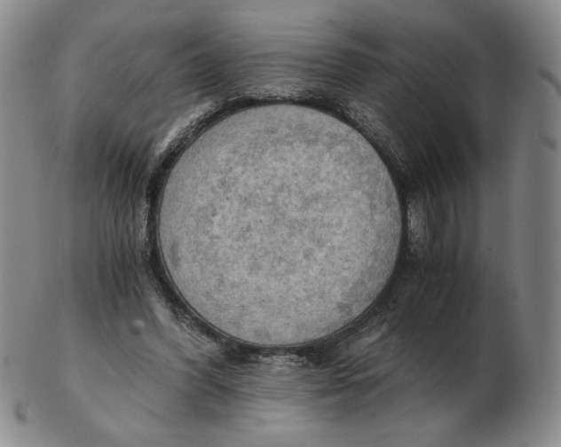 X0000103140396200809121758