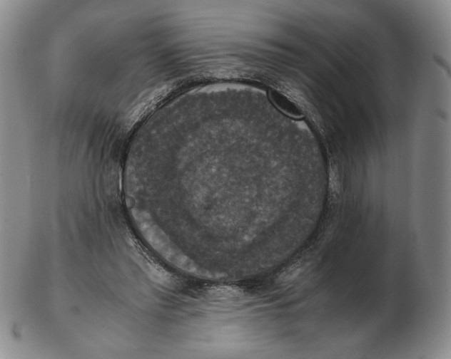 X0000103140397200809121758