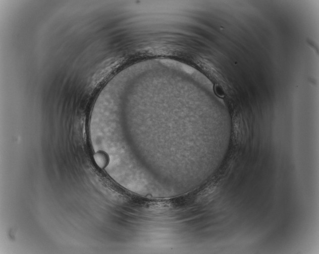 X0000103140398200809121758