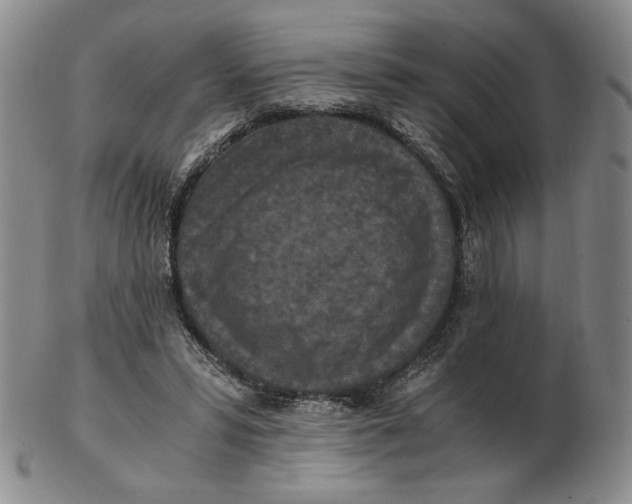 X0000103140399200809121758