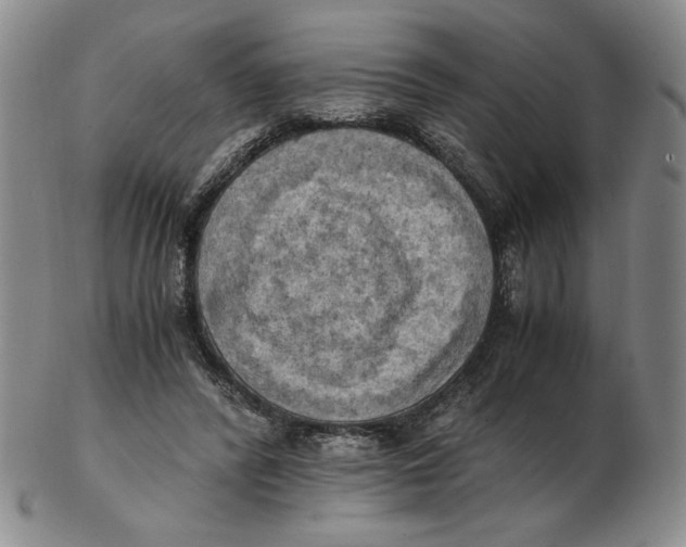 X0000103140400200809121758