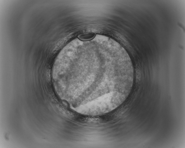 X0000103140401200809121758