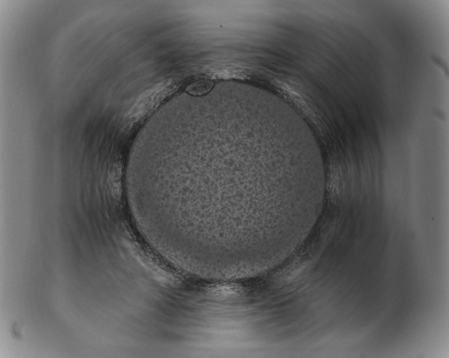 X0000103140402200809121758