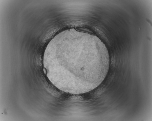 X0000103140403200809121758