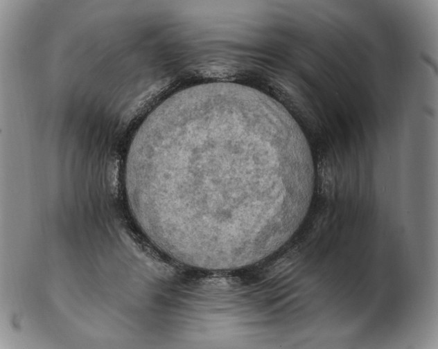 X0000103140404200809121758