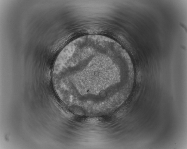 X0000103140405200809121758