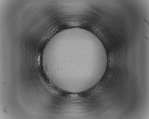 X0000103140406200809121758