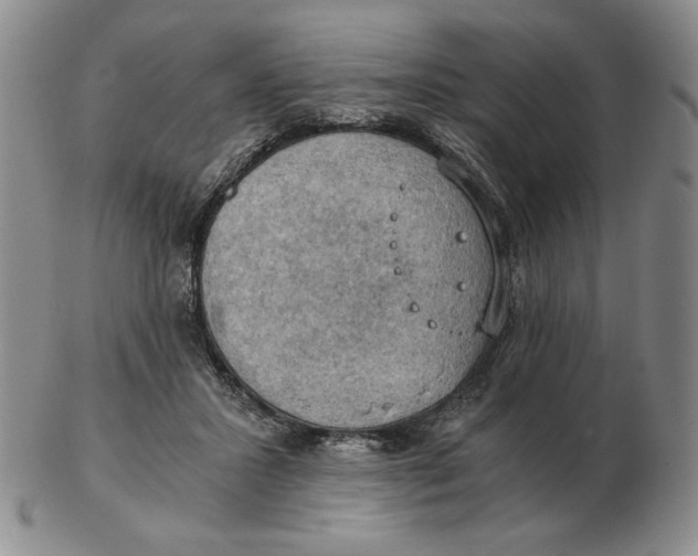 X0000103140407200809121758