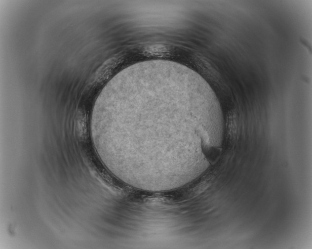 X0000103140408200809121758