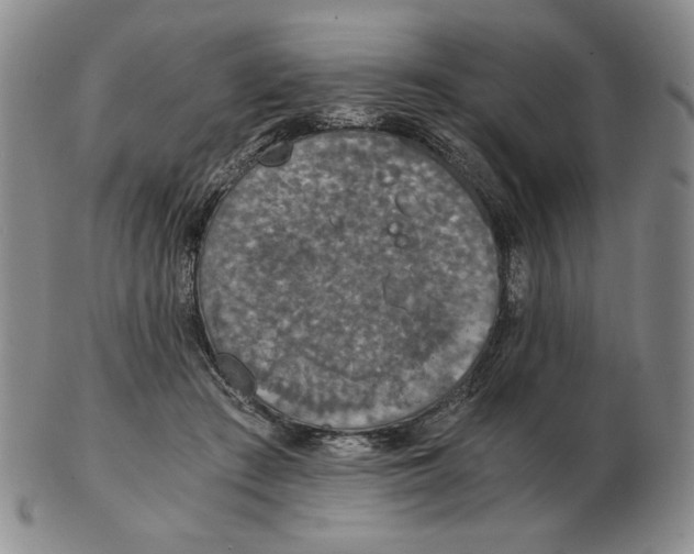 X0000103140409200809121758