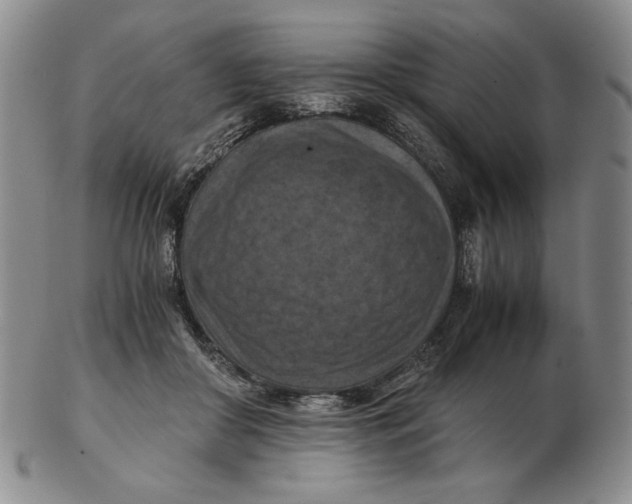 X0000103140410200809121758