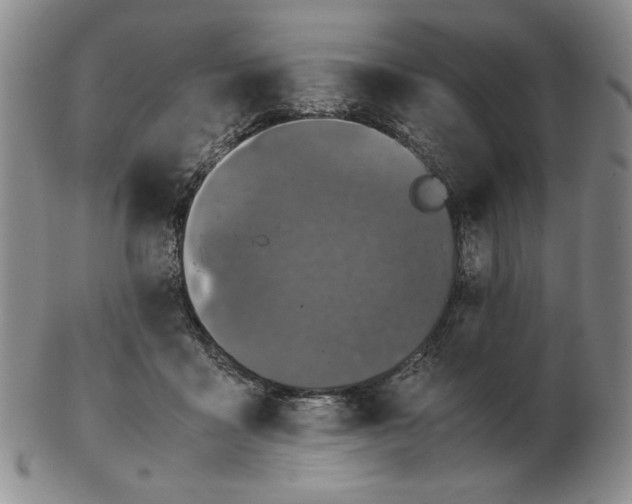 X0000103140411200809121758