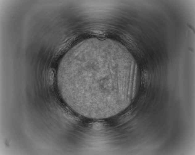 X0000103140412200809121758