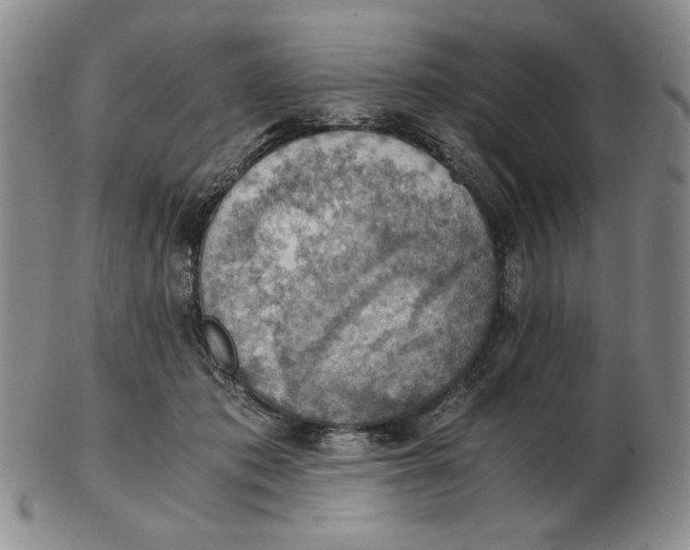 X0000103140413200809121758