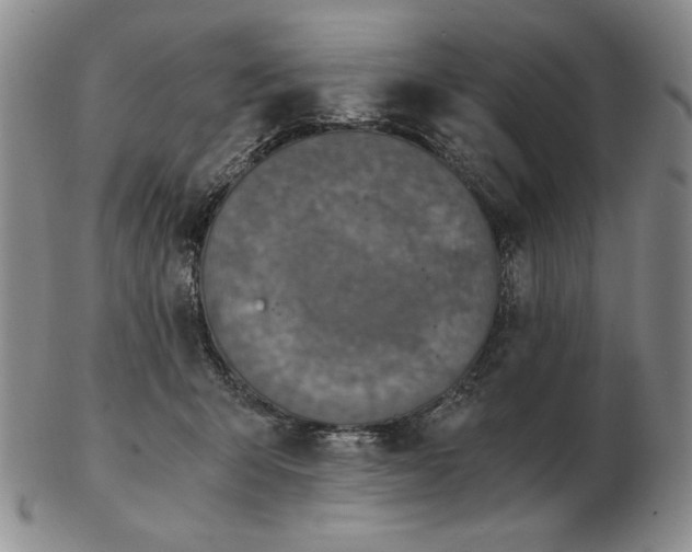 X0000103140415200809121758