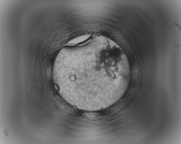 X0000103140417200809121758