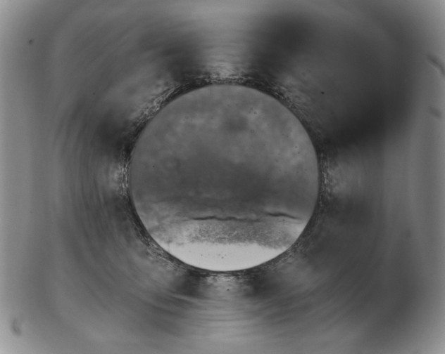 X0000103140419200809121758