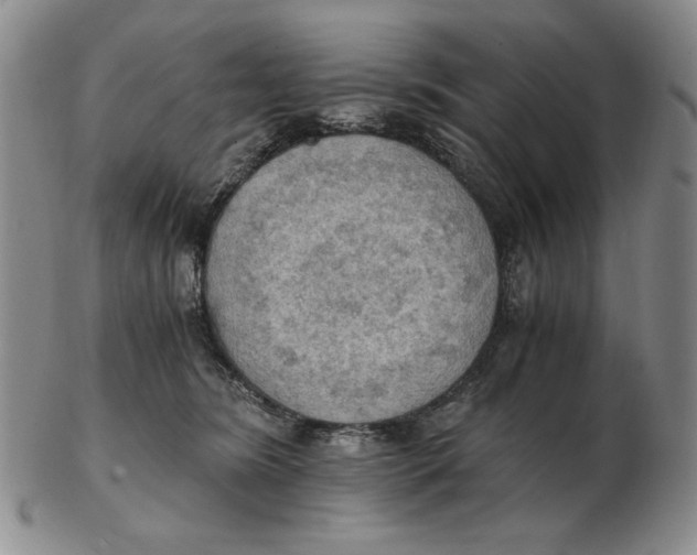 X0000103140420200809121758